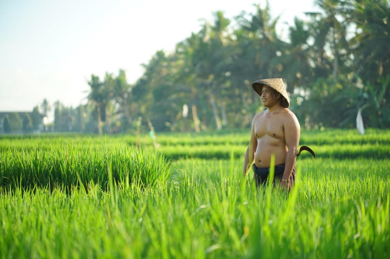 Asri Sari Villa Ubud Exteriör bild