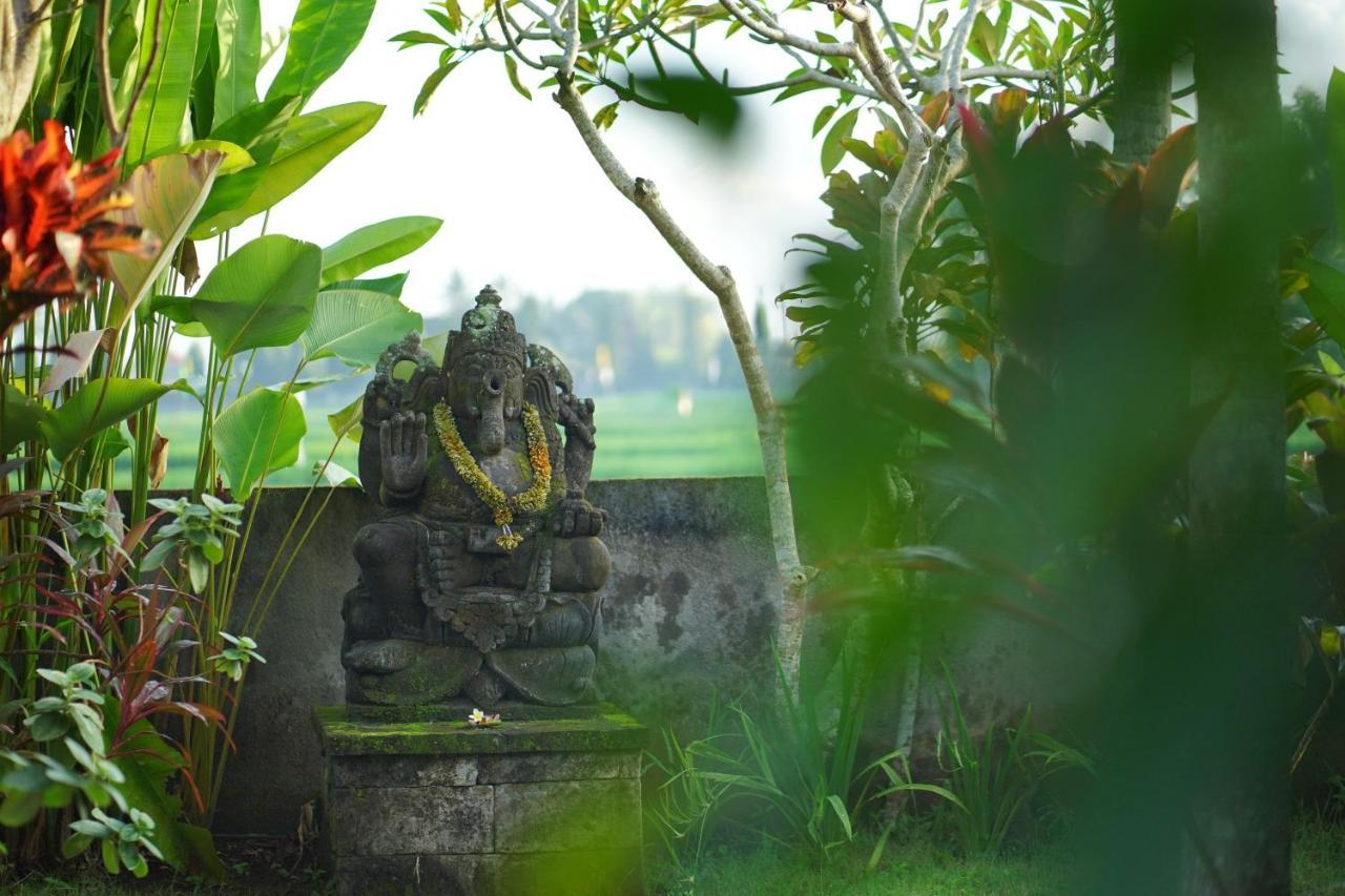 Asri Sari Villa Ubud Exteriör bild